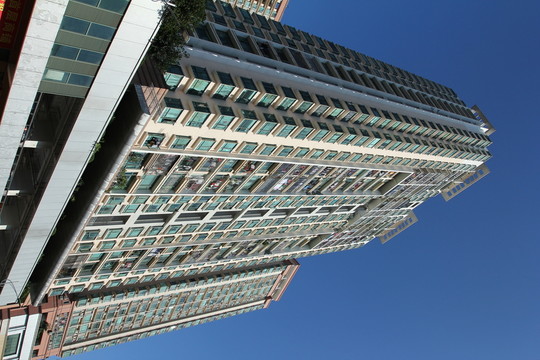 高樓