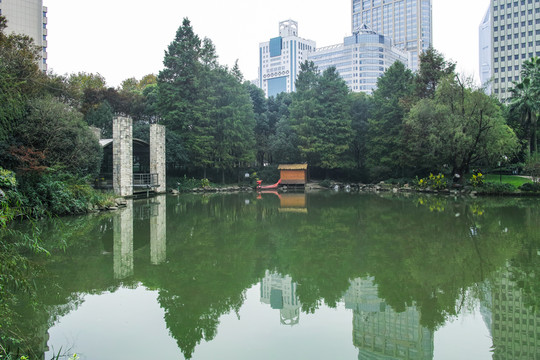 延中綠地池塘