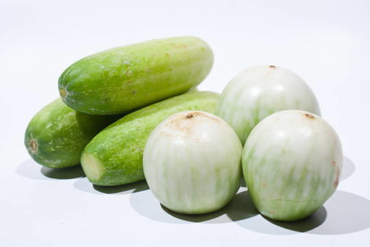 蔬菜；黃瓜；茄子。