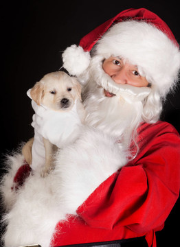 Santa與金毛犬