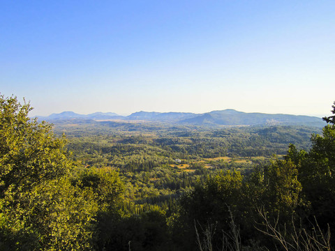 美麗的山水樹木在Corfu；希臘