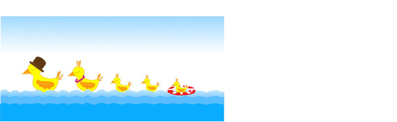 海上鳥類