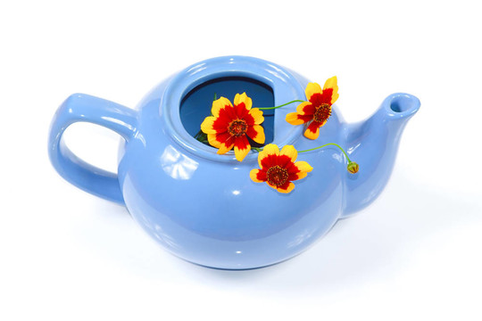 藍(lán)色的茶壺和漂亮的橘子花