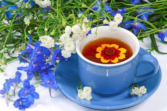 藍(lán)色的茶和花