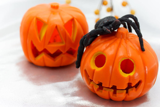 黑蜘蛛Jack O Lanterns