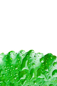 白底荷葉上的雨滴關(guān)閉，可用于健康；環(huán)境相關(guān)概念設(shè)計