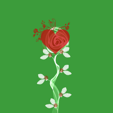摘要花