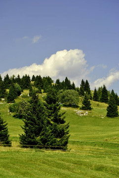 高山高原