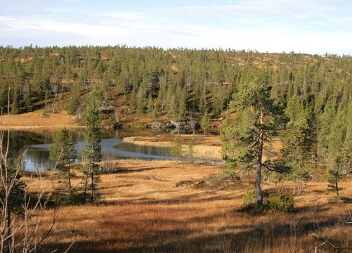 在一個鄉(xiāng)村景觀Tarn