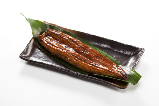 鰻魚(yú)（鰻魚(yú)）