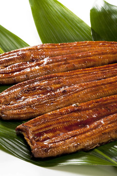鰻魚（鰻魚）