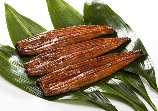 鰻魚（鰻魚）