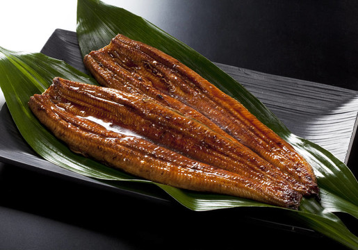 鰻魚（鰻魚）