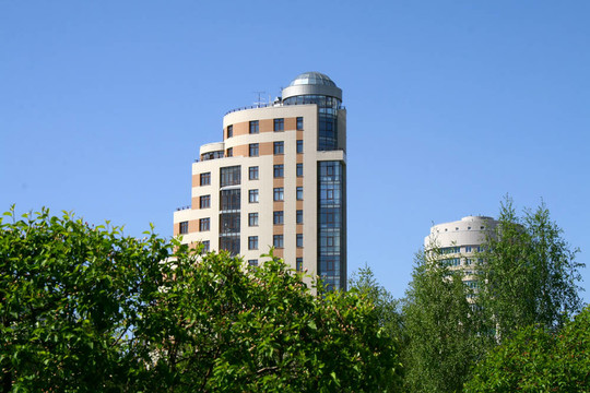 灌木和建筑