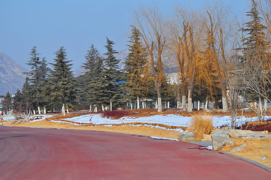 道路