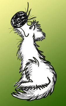 sittingdog