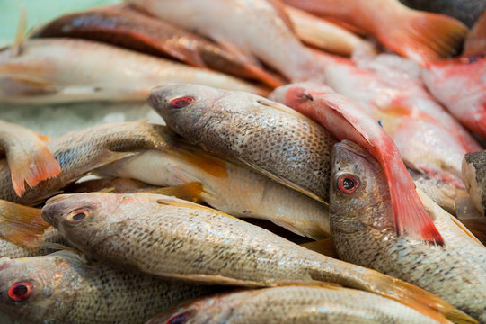 鮮魚市場上的鮮魚