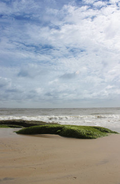 孤獨(dú)的海灘巖石與海藻