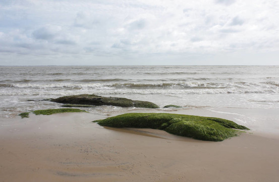 孤獨(dú)的海灘巖石與海藻