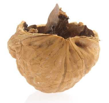 裂紋核桃