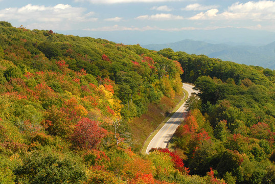 田納西秋季盤山公路
