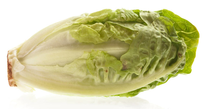 生菜