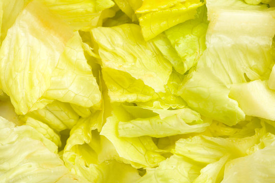 生菜
