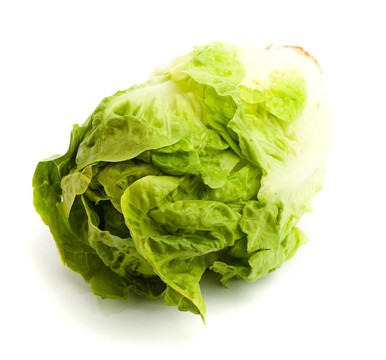 生菜