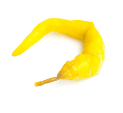 辣椒