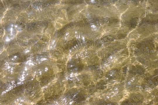 清水沙