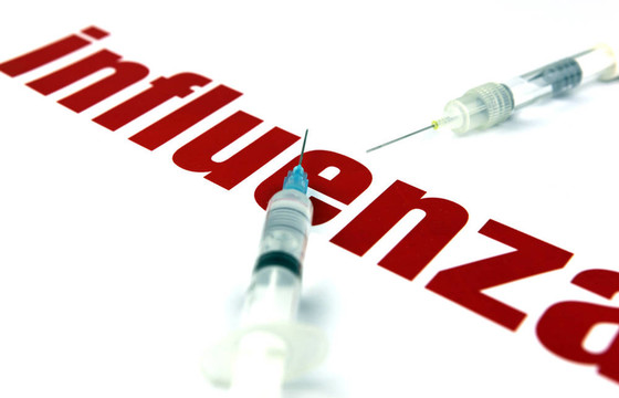 甲型H1N1流感病毒