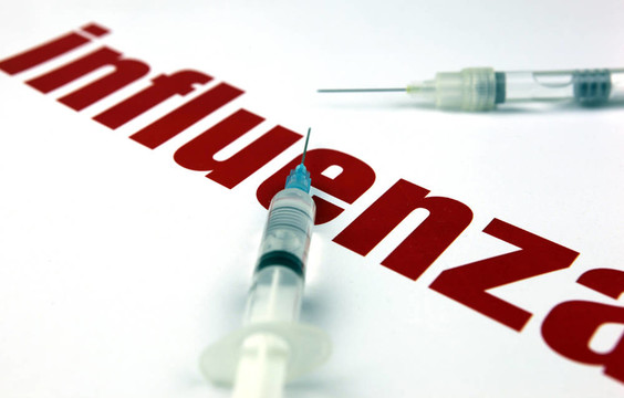 甲型H1N1流感病毒