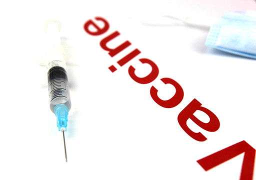 甲型H1N1流感病毒