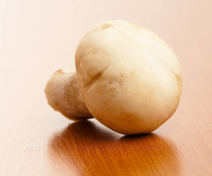 蘑菇在表
