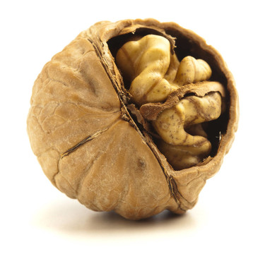帶殼堅果