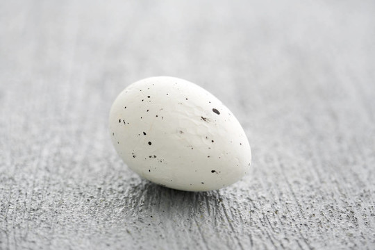 灰白色復(fù)活節(jié)彩蛋