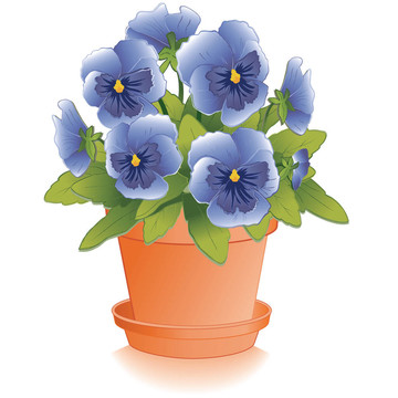 藍(lán)色堇型花；Clay Flowerpot