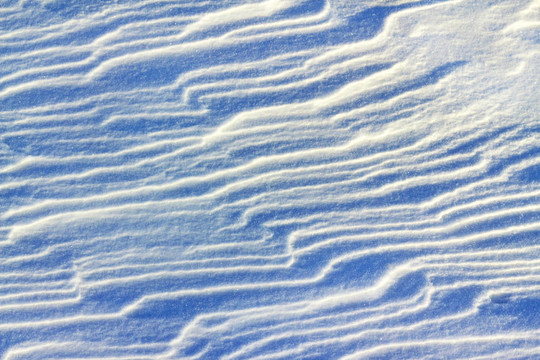 雪在晨光中飄蕩