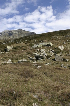 山