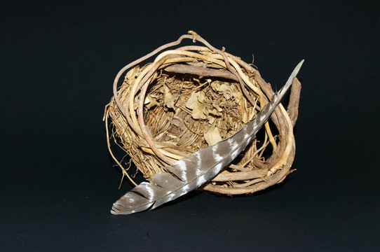 籃子與Hawk Feather