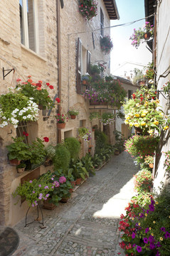 Spello；舊街