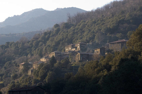 在塞文山脈景觀