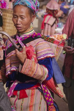花的苗族婦女和她的孩子