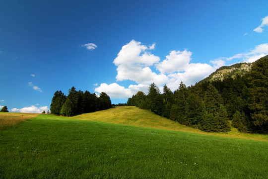 高山景觀