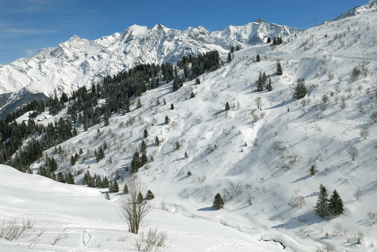 Mont Blanc山