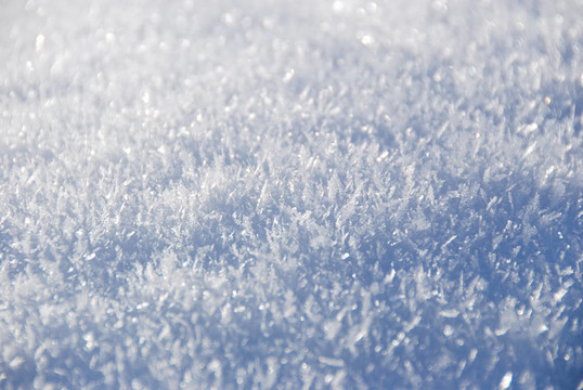 晴天的白雪