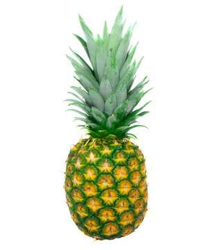 菠蘿