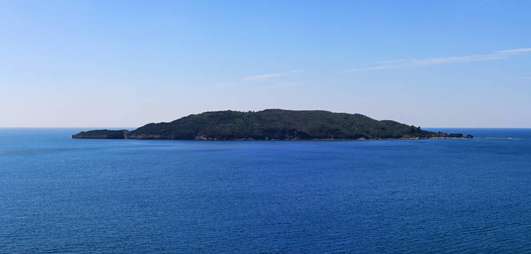 圣尼古拉島