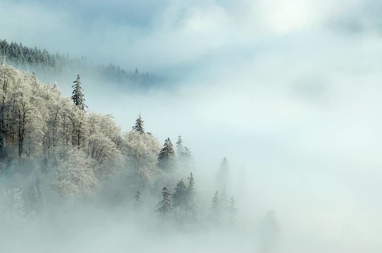 寒冷的早晨