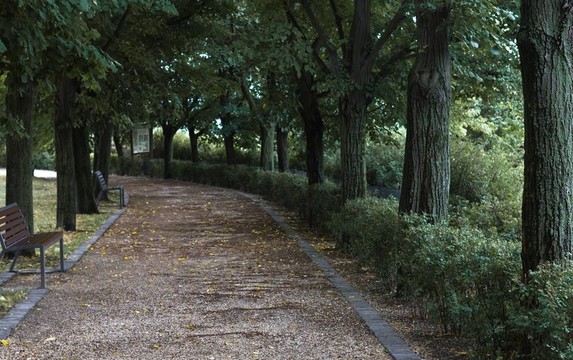 樹木環(huán)繞的道路